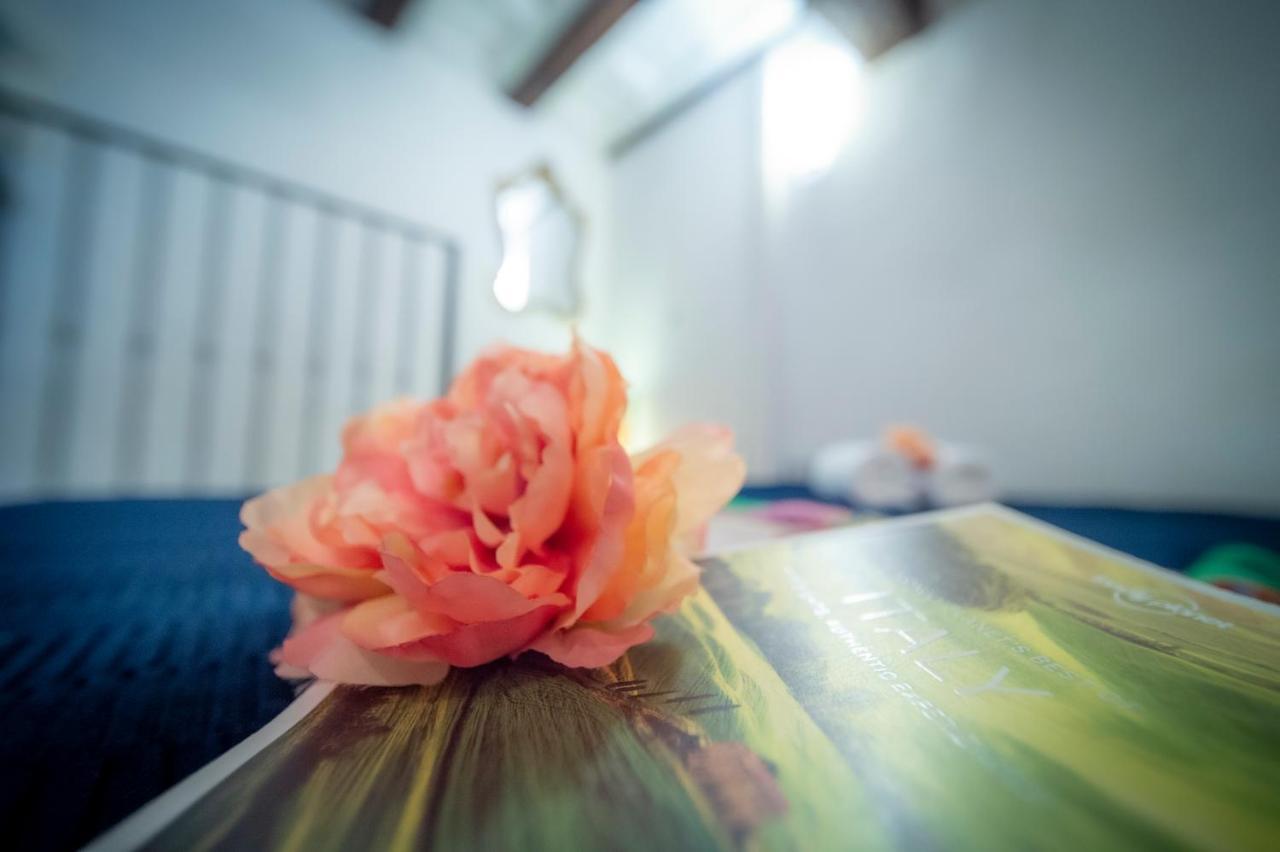 Wonderful Romantic Studio Ponte Vecchio Area 佛罗伦萨 外观 照片